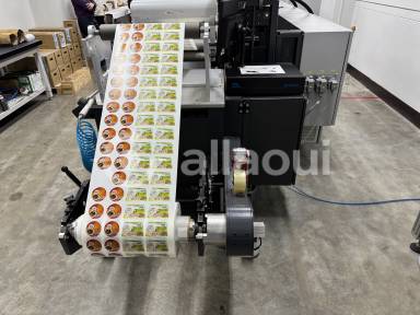 Gallus Labelmaster 440 Picture 16
